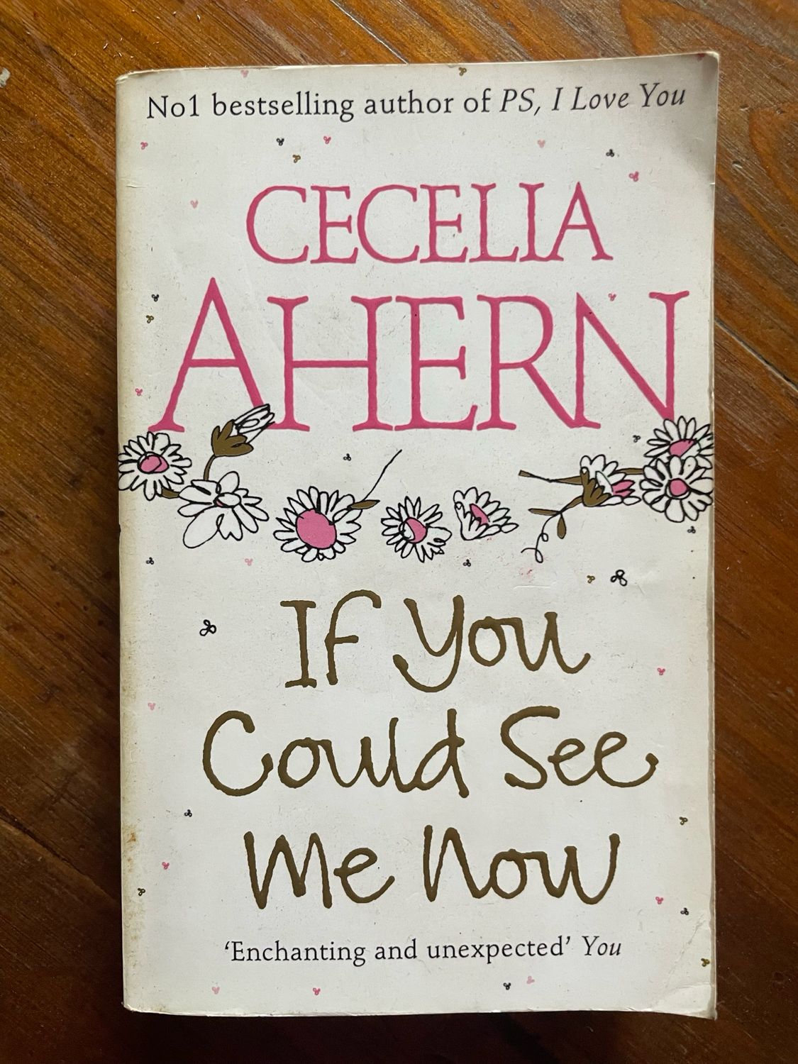 If You Could See Me Now by Cecelia Ahern