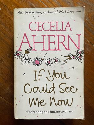 If You Could See Me Now by Cecelia Ahern
