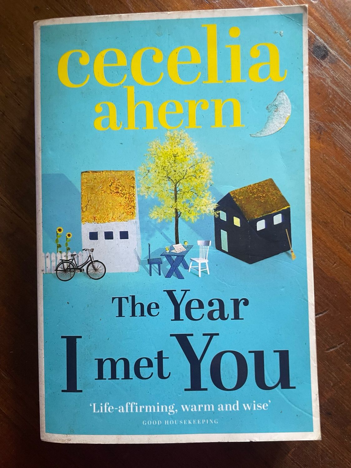 The Year I Met You by Cecelia Ahern