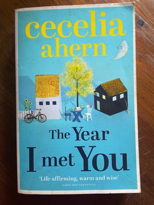 The Year I Met You by Cecelia Ahern