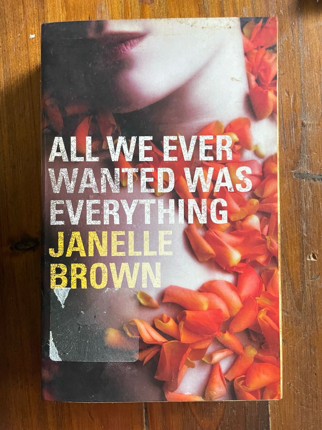 All We Ever Wanted by Janelle Brown