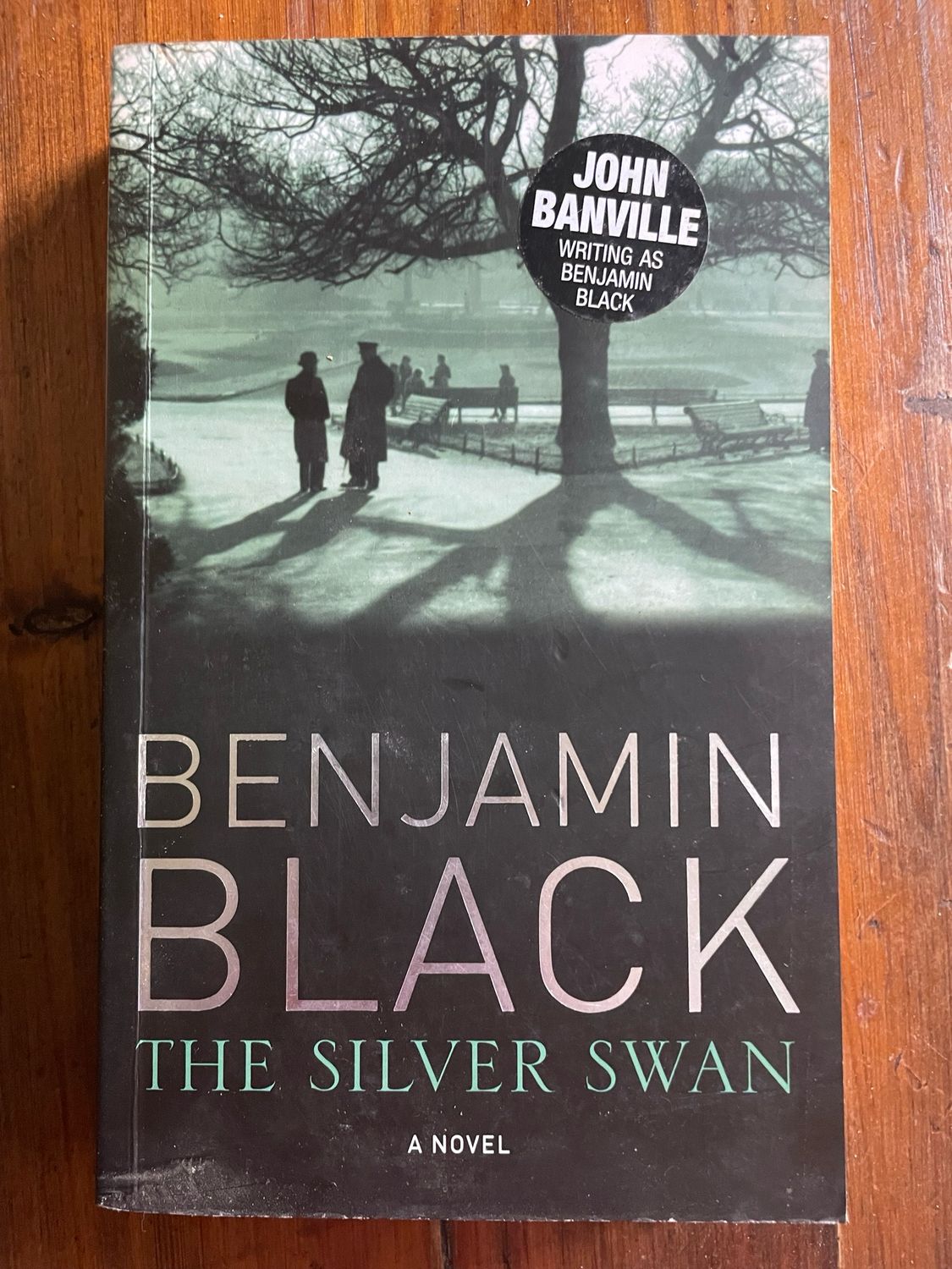 The Silver Swan by Benjamin