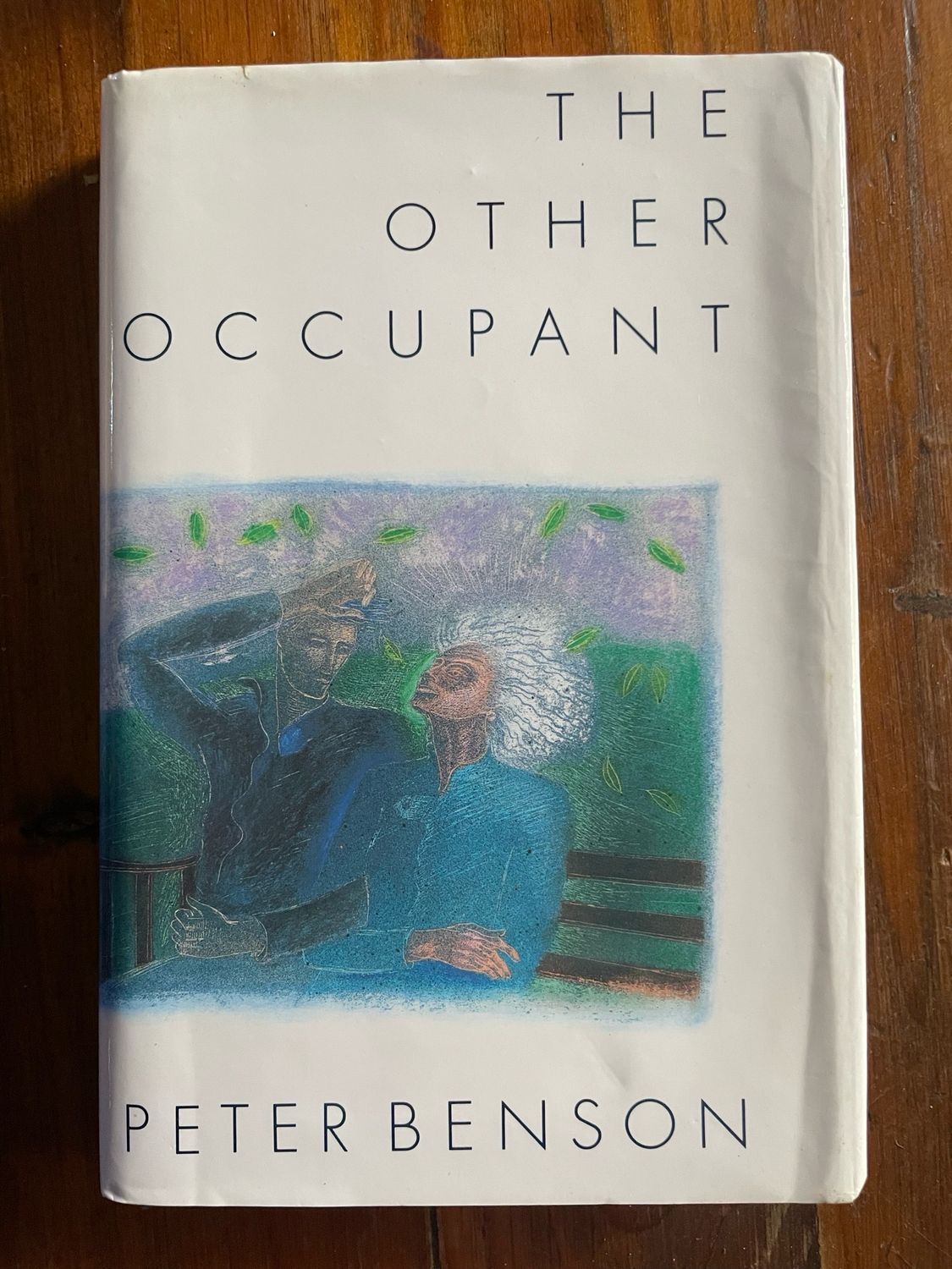 The Other Occupant by Peter Benson
