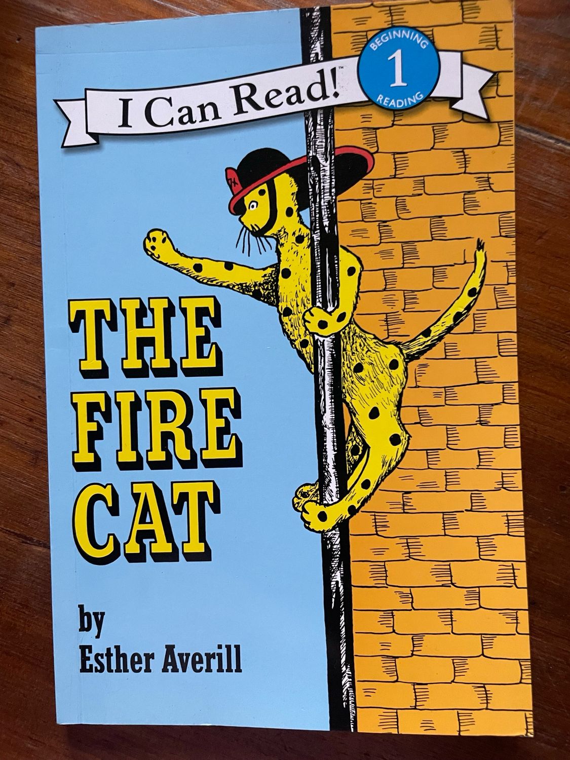 The Fire Cat