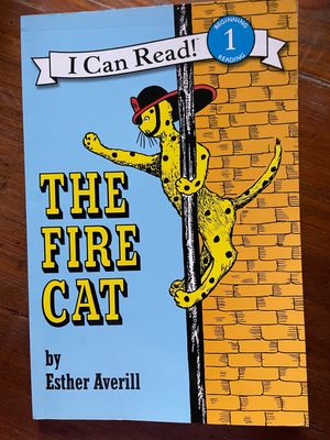 The Fire Cat