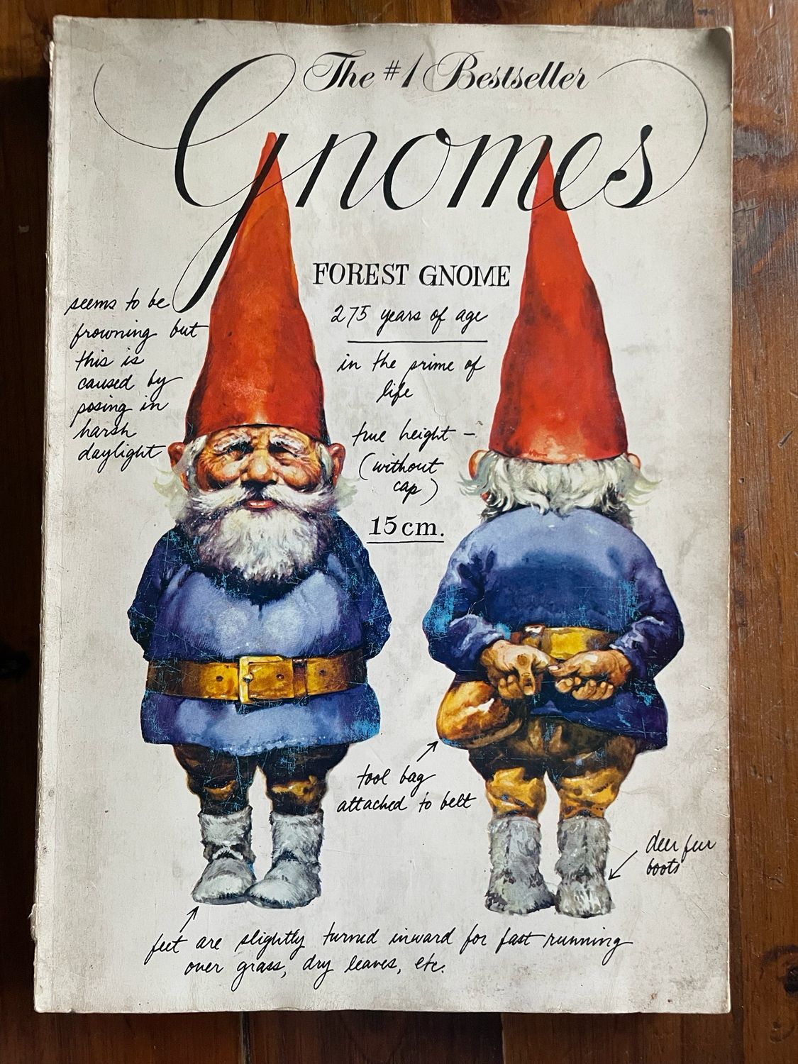 Gnomes