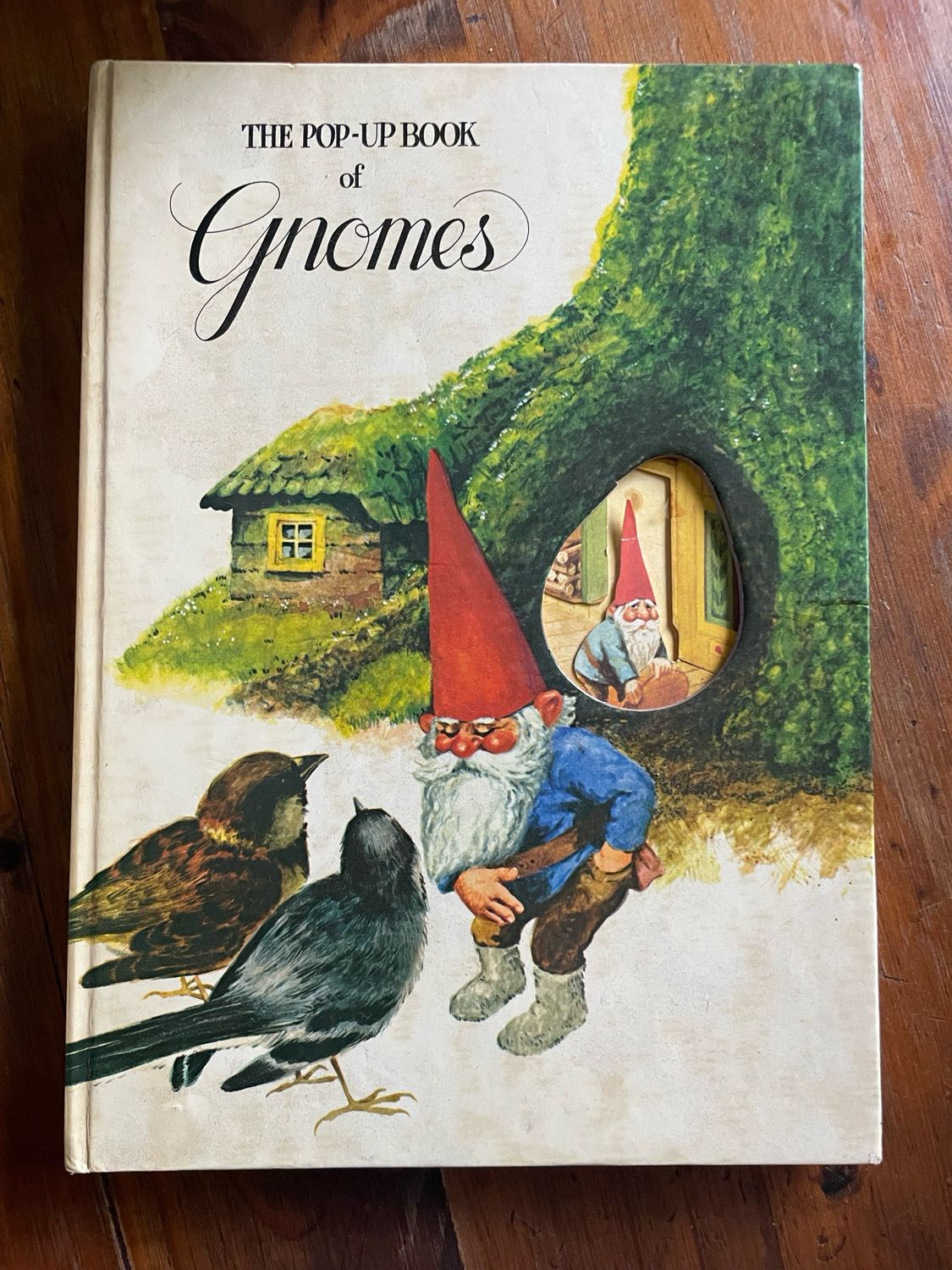 The Pop- Up Book Of Gnomes