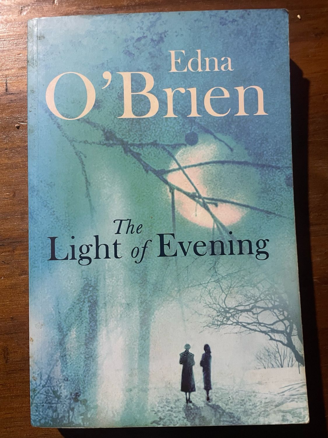 The Light Of Evening by Edna O’Brien