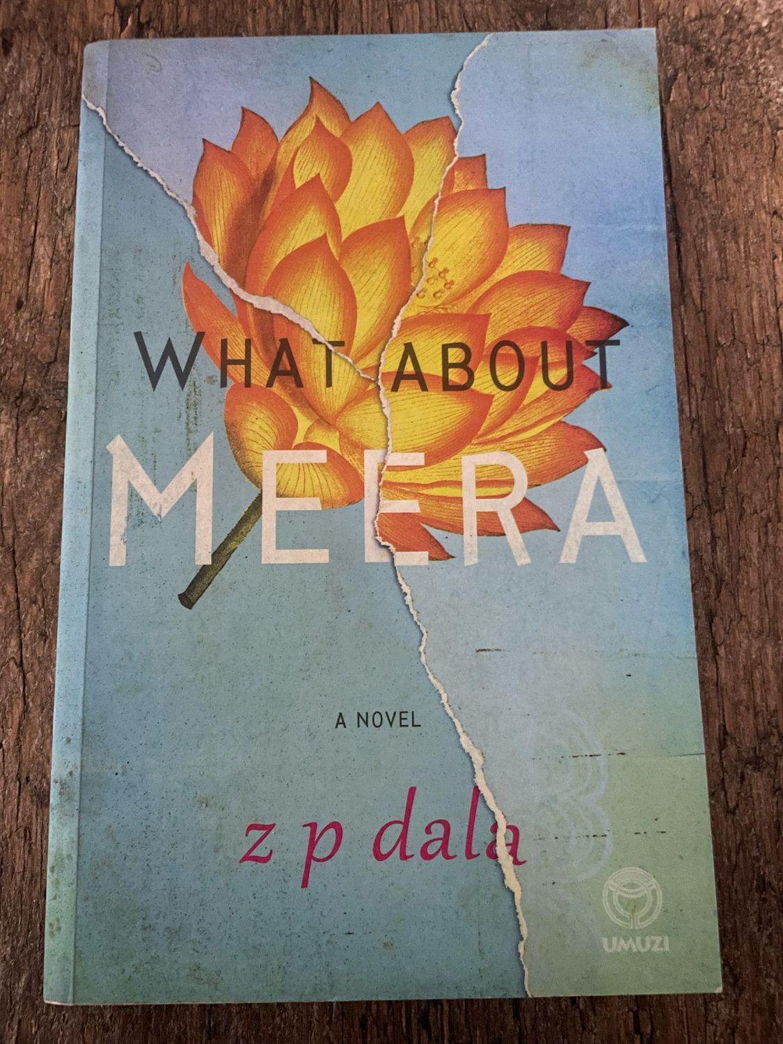 What About Meera by Z. P. Dala