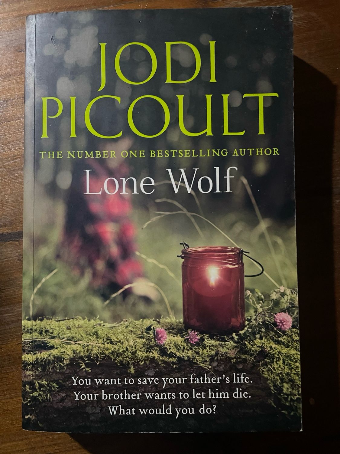 Lone Wolf by Jodi Picoult