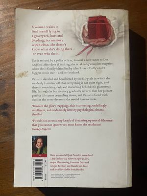 Picture Perfect by Jodi Picoult