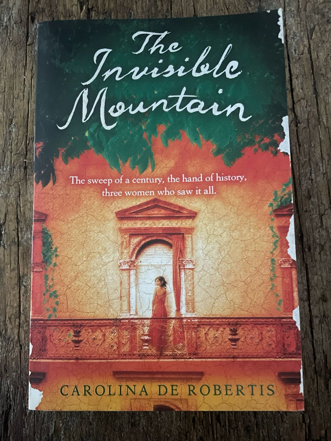 The Invisible Mountain by Carolina De Robertis