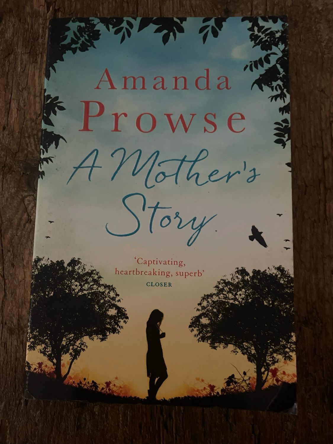 A Mother’s Story by Amanda Prowse