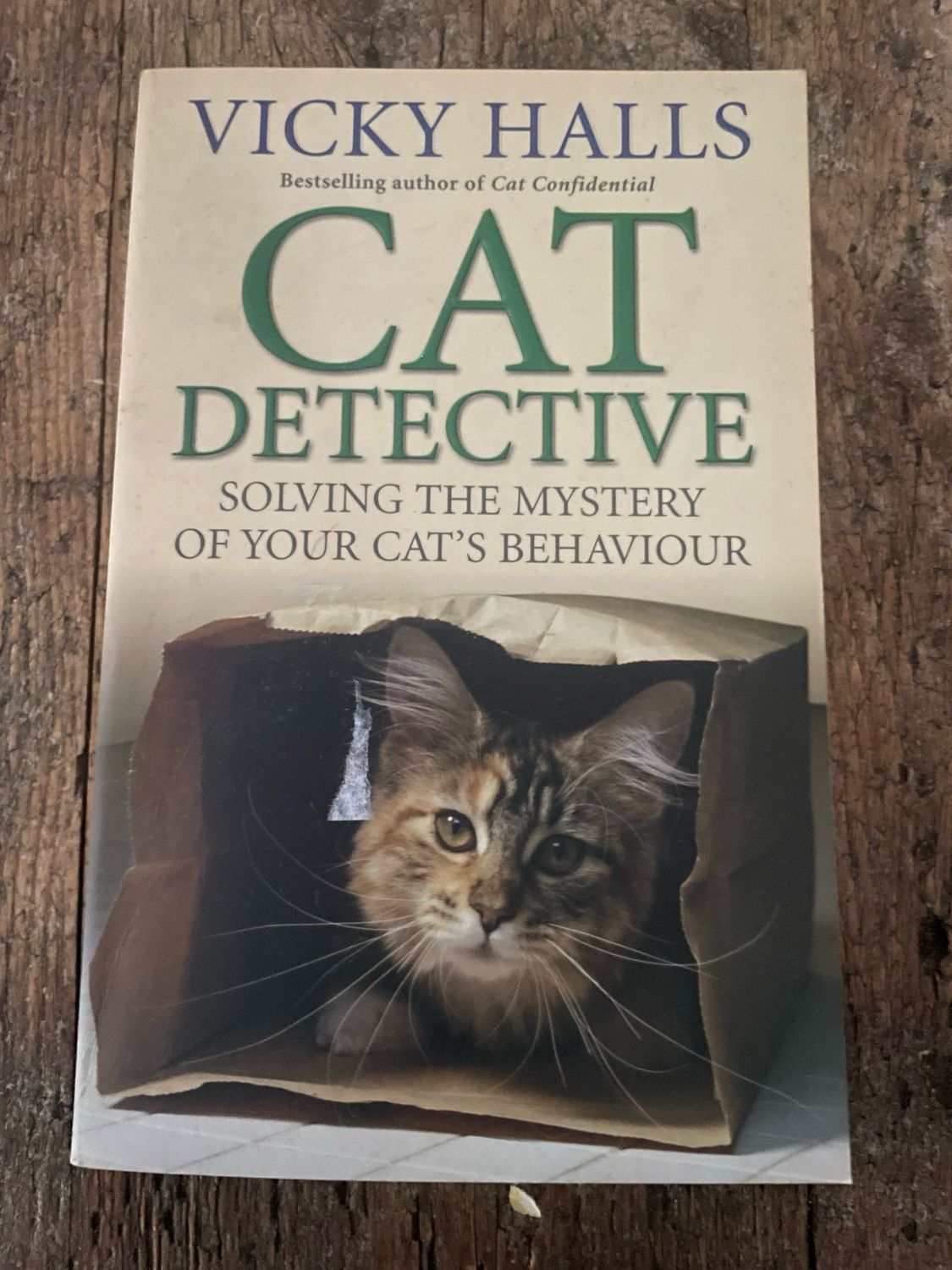 Cat Detective by Vicky Halls