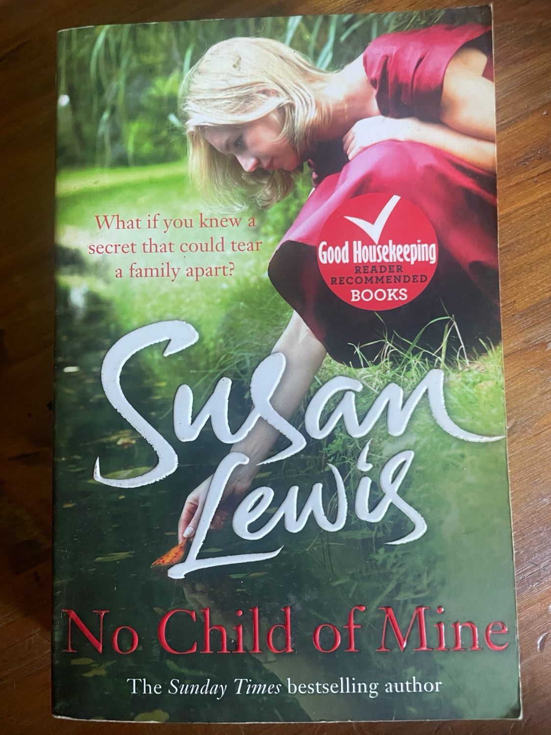 No Child Of Mine by Susan Lewis