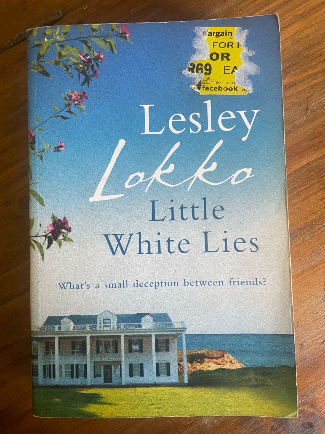 Little White Lies by Lesley Lokka