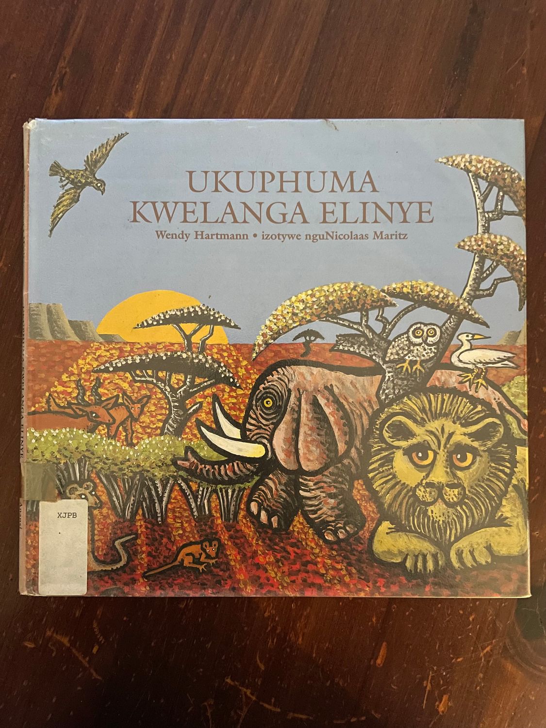 Ukuphuma Kwelanga Elinye by Wendy Hartmann