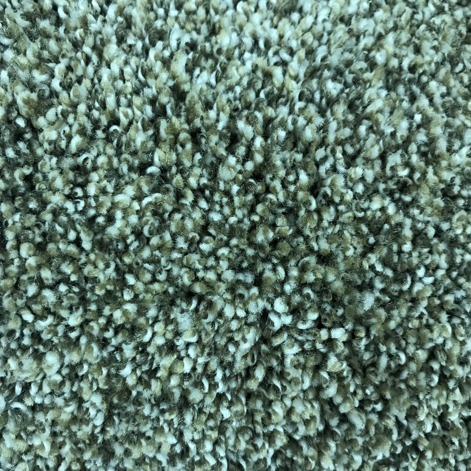Carpet Style Simply Blended Color Five Star Price Per Square Foot