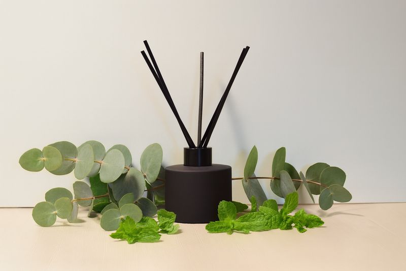 Eucalyptus &amp; Moroccan Mint Reed Diffuser