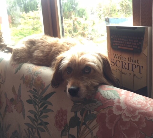 Write That Script!