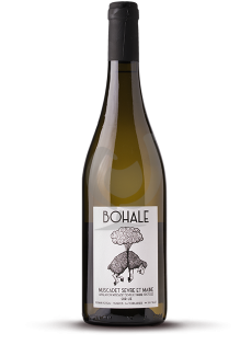 Domaine de la Tourlandière - Bohale blanc 2020 (Melon de Bourgogne, 12%) - Vin Nature - Bouteille 75cl Domaine de la Tourlandière - Bohale blanc 2020 (Melon de Bourgogne, 12%) - Vin Nature - Bouteille 75cl