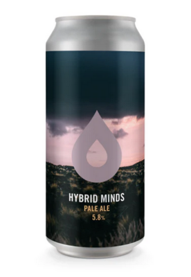 Polly's Brew Co (UK) - Hybrid Minds (Pale Ale - New England / Hazy 5,8%) - Canette 44cl