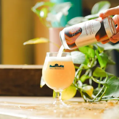 TRACK (UK) - Repertoire — DIPA – Nelson Sauvin, Motueka &amp; Nectaron — 8% ABV - Canette 44cl