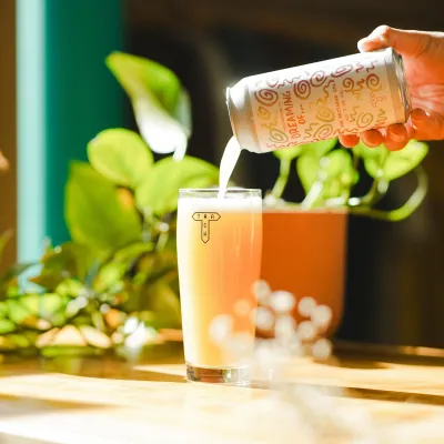 TRACK (UK) - Dreaming Of… DDH Nectaron — DDH IPA – Nectaron — 7% ABV - Canette 44cl