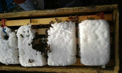 5 Frame Langstroth Over-wintered Hive - £300.00