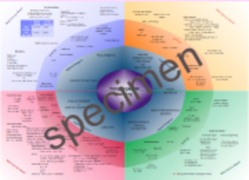 Poster Hoogbegaafde leerling