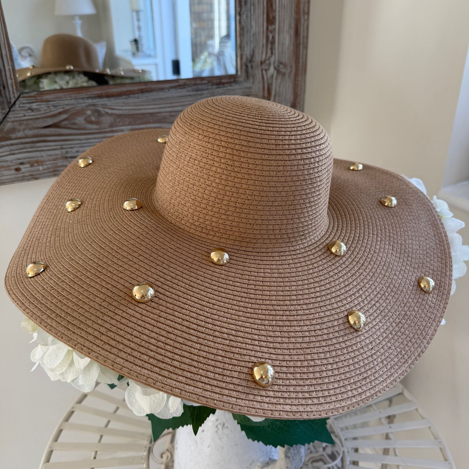 Riviera (camel)