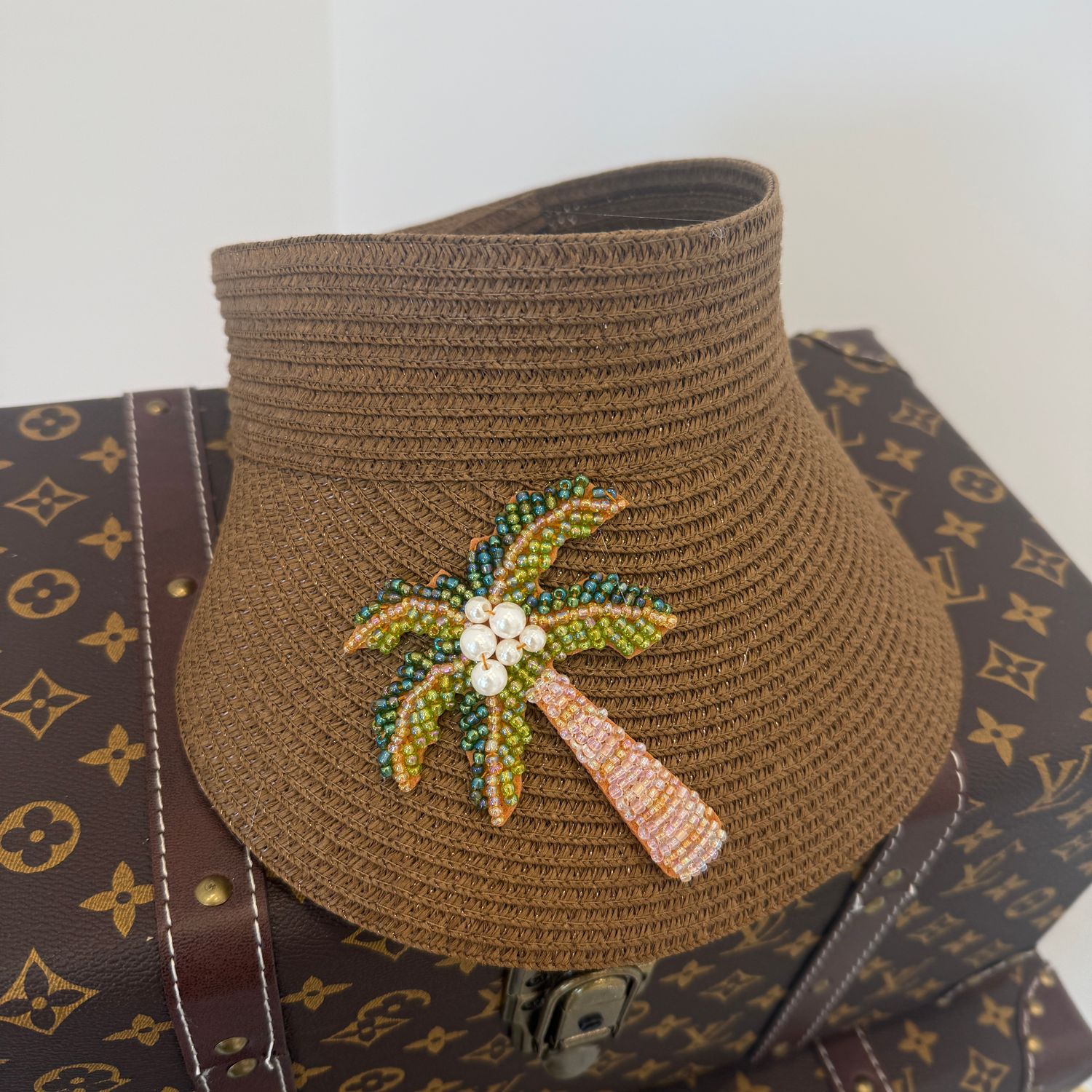Palm Visor