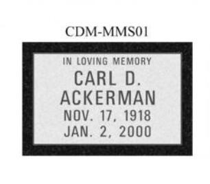 CDM-MMS01