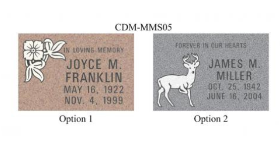 CDM-MMS05