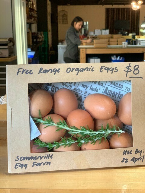 Somerville Eggs x 12