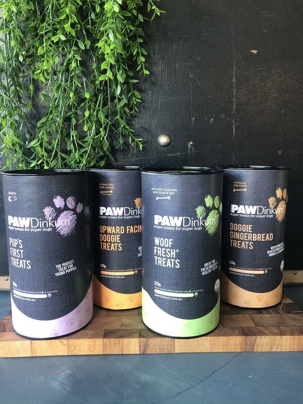 Doggie Gingerbread Treats - PAWDinkum