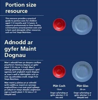 A4 Portion Size Resource, 50 sheet tear away pad for professionals to use with parents/ Adnodd Maint A4, pad rhwygo 50 dalen i weithwyr proffesiynol ei ddefnyddio gyda rhieni