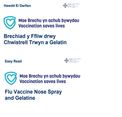 Brechiad y Ffliw drwy Chwistrell Trwyn a Gelatin | Flu Vaccine Nose Spray and Gelatine - Llawrlwytho yn unig/ Download only Hawdd ei Ddeall | Easy Read