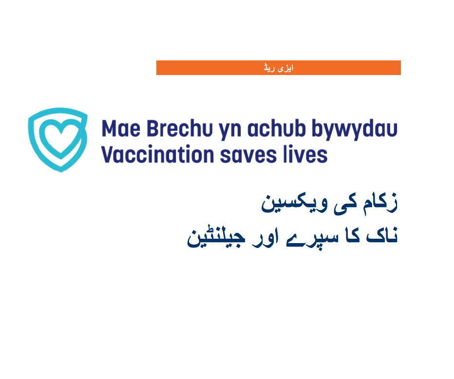 LAIV Porcine Gelatine Flyer- Urdu