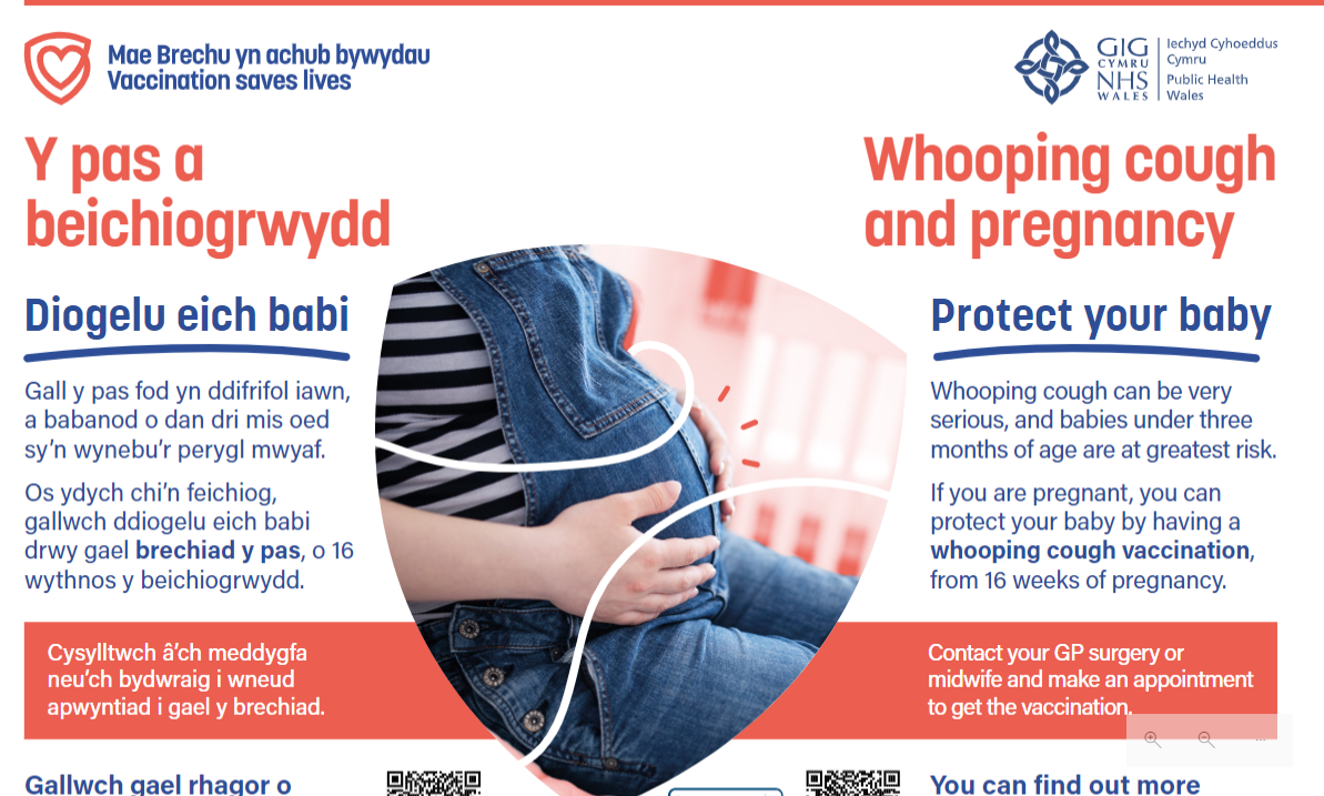 Y pas a beichiogrwydd poster | Whooping cough and Pregnancy poster