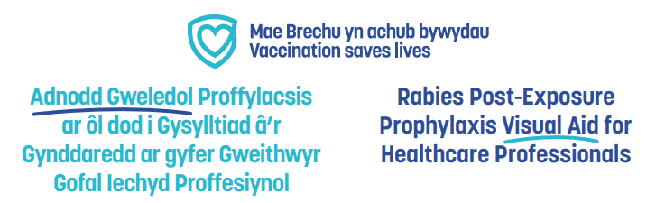 Adnodd Gweledol Proffylacsis ar ôl dod i Gysylltiad â’r Gynddaredd ar gyfer Gweithwyr Gofal Iechyd Proffesiynol | ​Rabies Post-Exposure Prophylaxis Visual Aid for Healthcare Professionals
