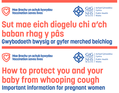 Sut mae eich diogelu chi a&#39;ch baban rhag y pas - Print bras taflen | How to protect you and your baby from whooping cough - Large print leaflet