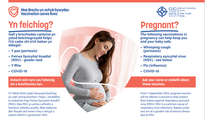 Brechiadau mewn poster beichiogrwydd | Vaccinations in pregnancy bilingual poster 2024
