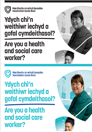 Poster Proffesiynol Gofal Iechyd | Health Care Professional poster