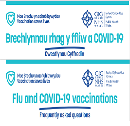 *Ar gyfer brechwyr carchar yn unig * Cwestiynau Cyffredin Carchardai| *For prison vaccinators only*Prison FAQs