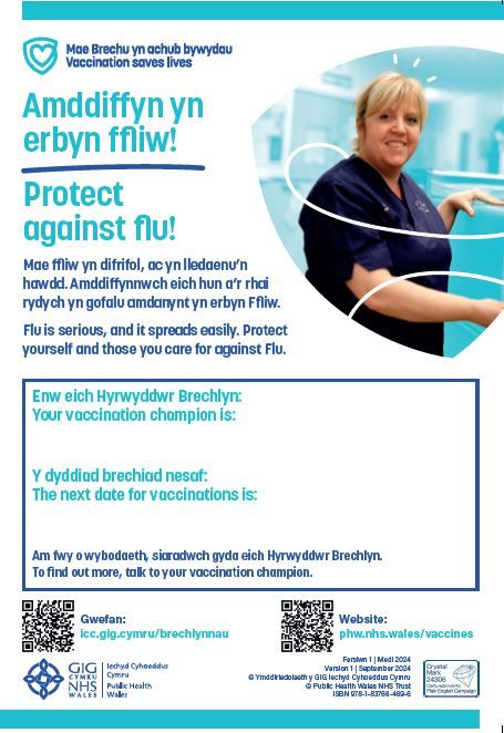 Poster Hyrwyddwr Brechu (copi caled) - Vaccination Champion Poster (hard copy)