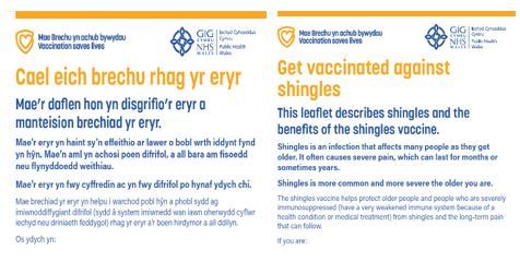 Cael eich brechu rhag yr eryr print bras taflen | Get vaccinated against shingles large print leaflet​