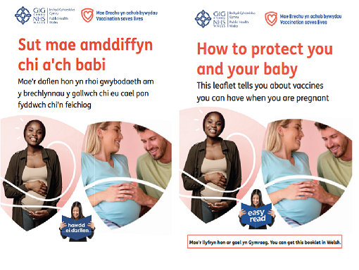 (Llyfryn dwyieithog; Hawdd ei ddarllen) Llyfryn mamol / Maternal Booklet (bilingual booklet; Easy Read)