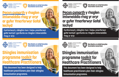 ​Pecyn cymorth y rhaglen imiwneiddio rhag yr eryr ar gyfer Ymarferwyr Gofal Iechyd | Shingles immunisation programme toolkit for Healthcare Professionals
