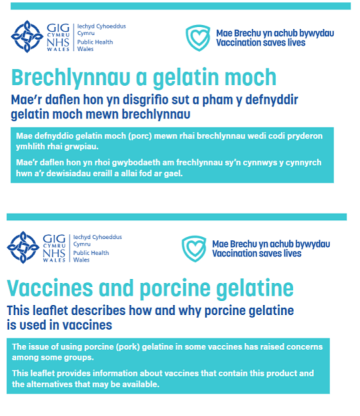 Taflen wybodaeth brechlynnau a gelatin moch | Vaccines and porcine gelatine Fact sheet
